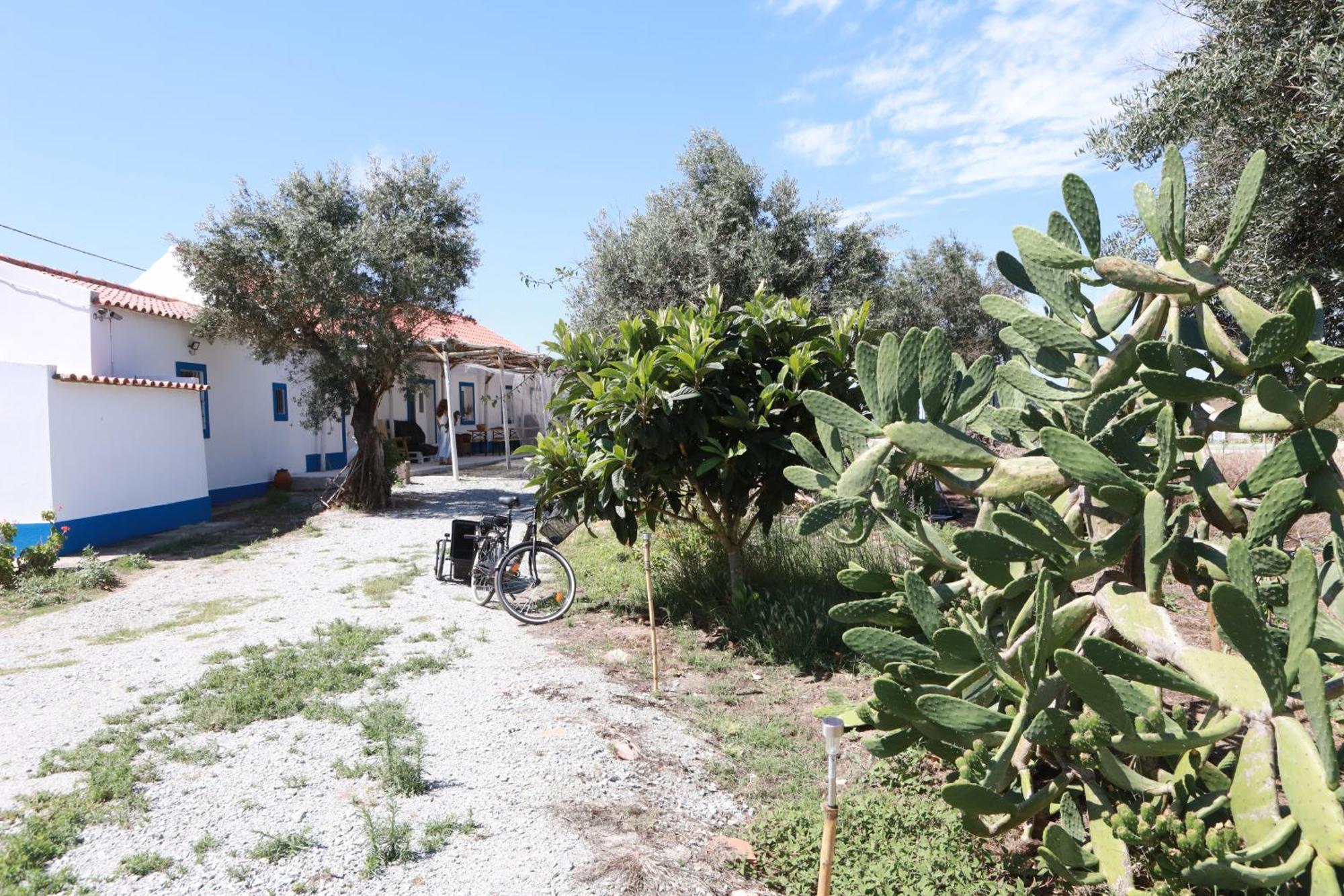 Monte Da Masmorra De Baixo-Casa Alentejana Villa Montemor-o-Novo Exterior photo